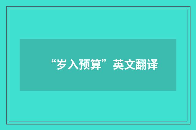 “岁入预算”英文翻译