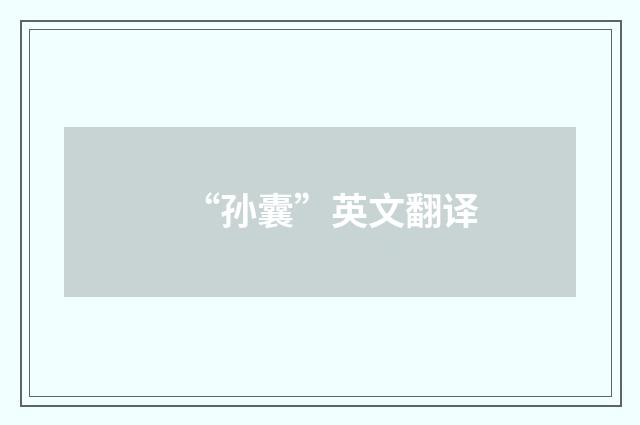 “孙囊”英文翻译