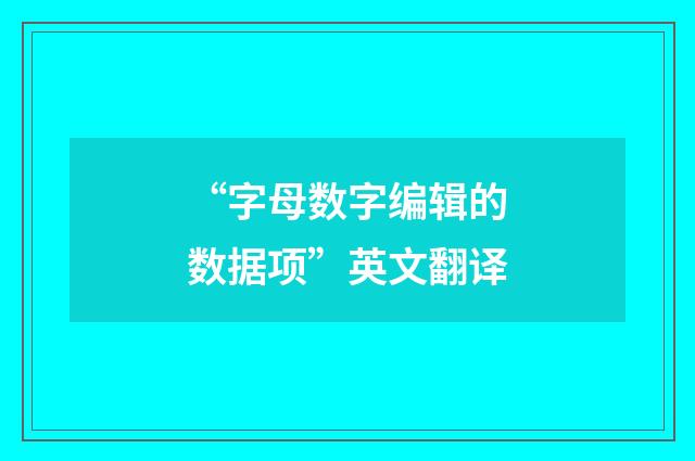 “字母数字编辑的数据项”英文翻译