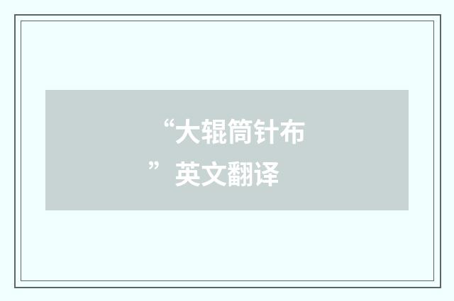 “大辊筒针布”英文翻译