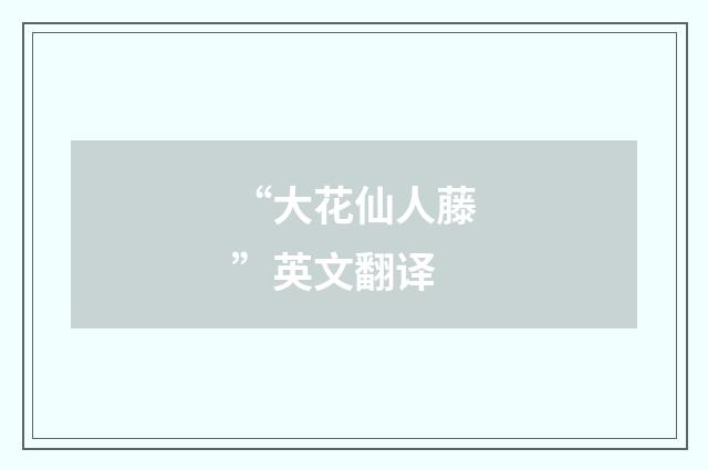“大花仙人藤”英文翻译