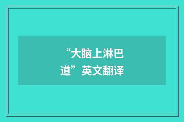 “大脑上淋巴道”英文翻译