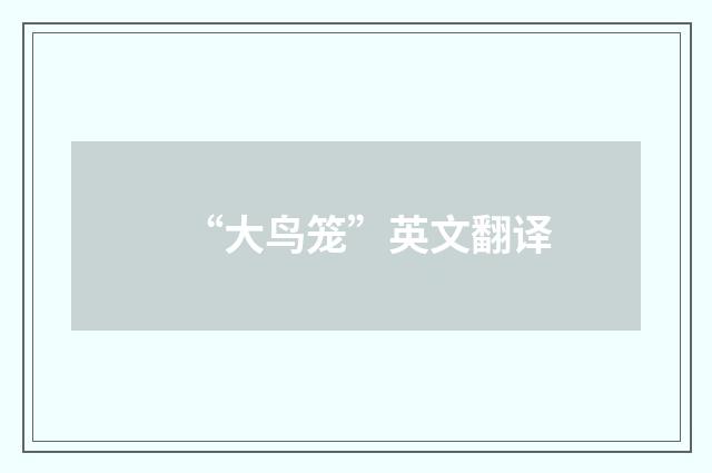 “大鸟笼”英文翻译