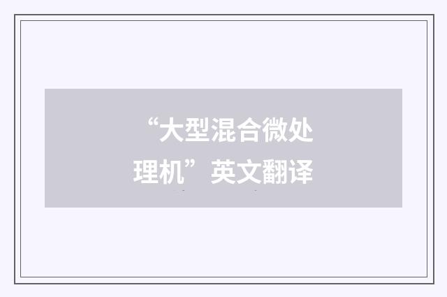 “大型混合微处理机”英文翻译