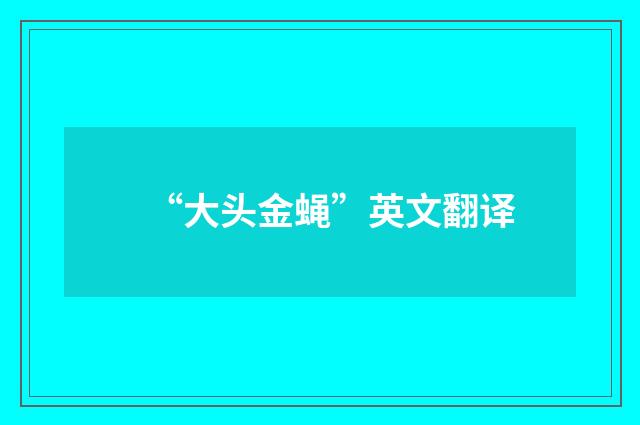 “大头金蝇”英文翻译