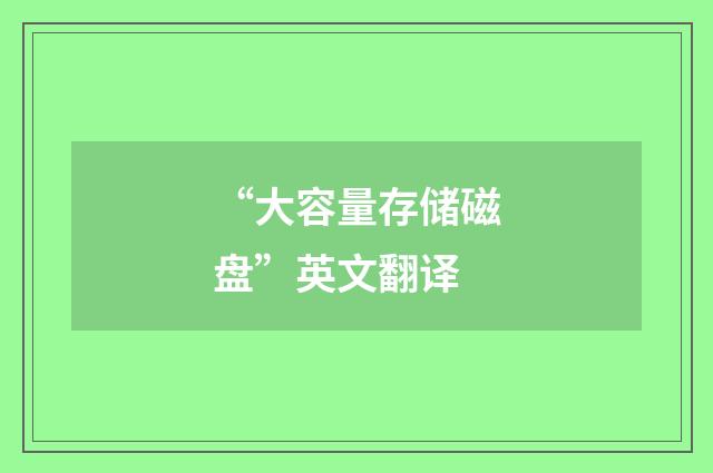 “大容量存储磁盘”英文翻译