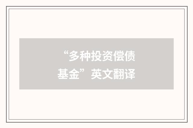 “多种投资偿债基金”英文翻译