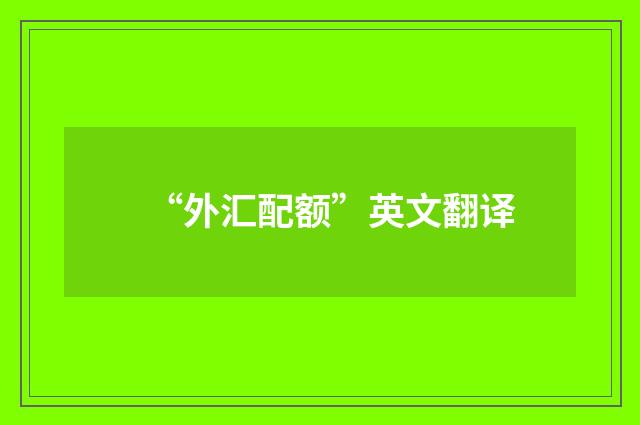 “外汇配额”英文翻译