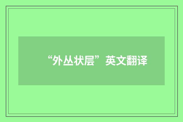 “外丛状层”英文翻译