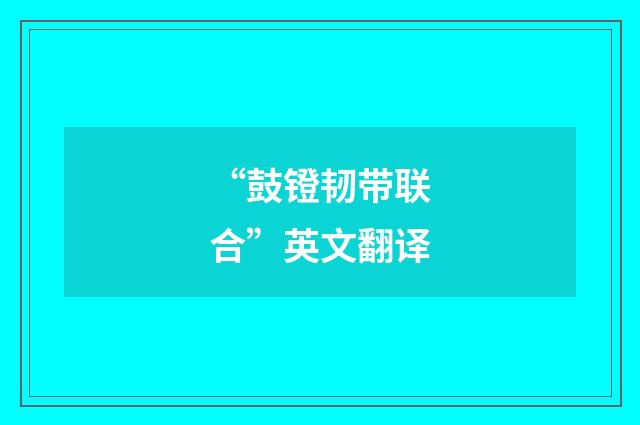 “鼓镫韧带联合”英文翻译