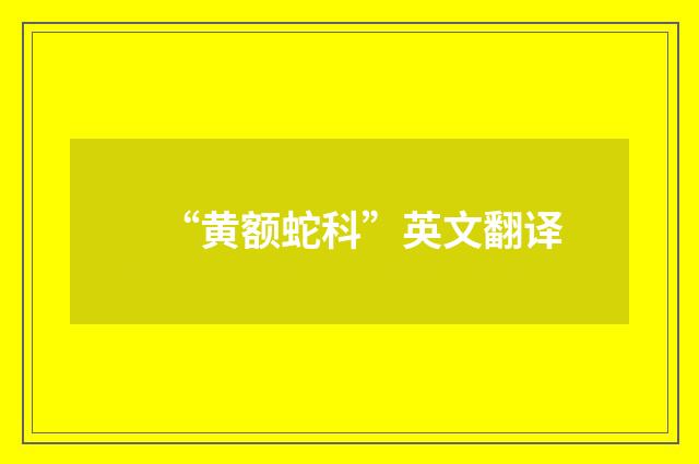 “黄额蛇科”英文翻译