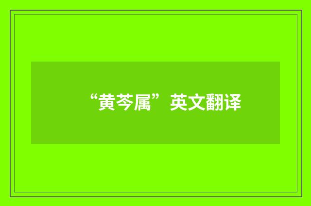 “黄芩属”英文翻译