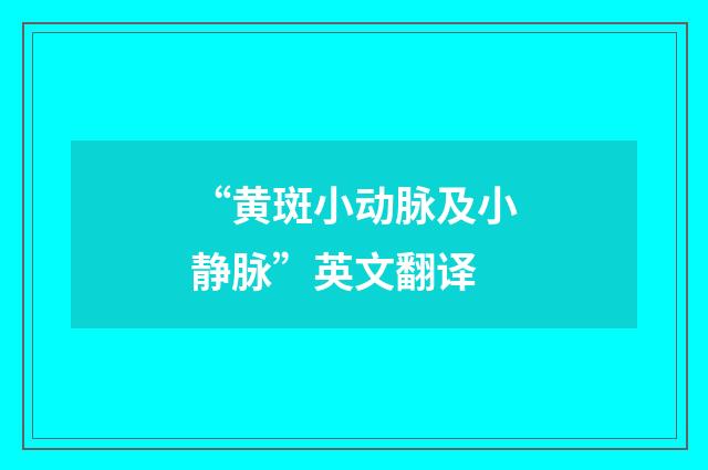 “黄斑小动脉及小静脉”英文翻译