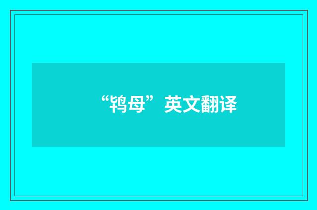 “鸨母”英文翻译