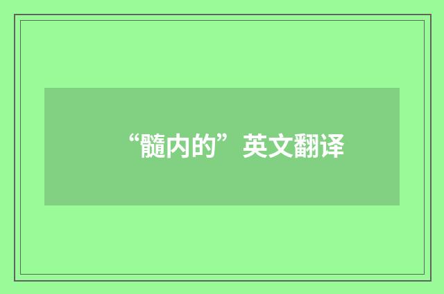 “髓内的”英文翻译