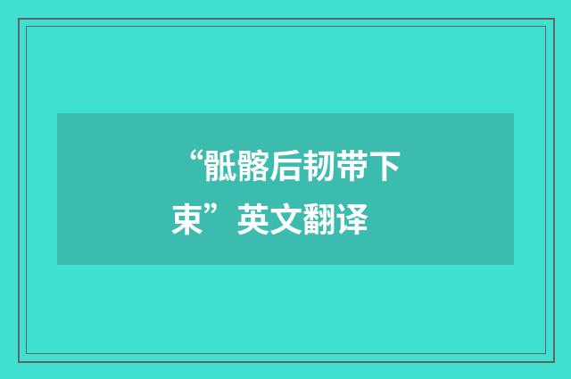 “骶髂后韧带下束”英文翻译