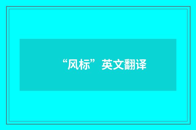 “风标”英文翻译