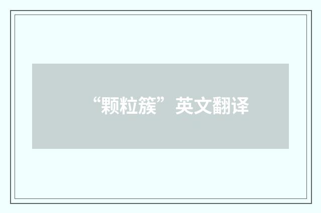 “颗粒簇”英文翻译