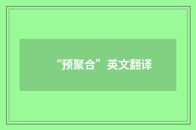 “预聚合”英文翻译