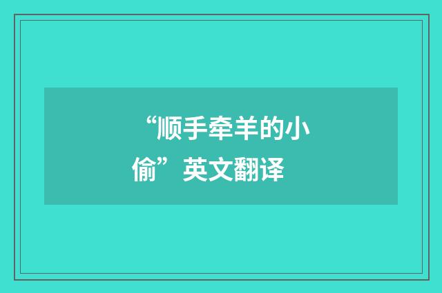 “顺手牵羊的小偷”英文翻译