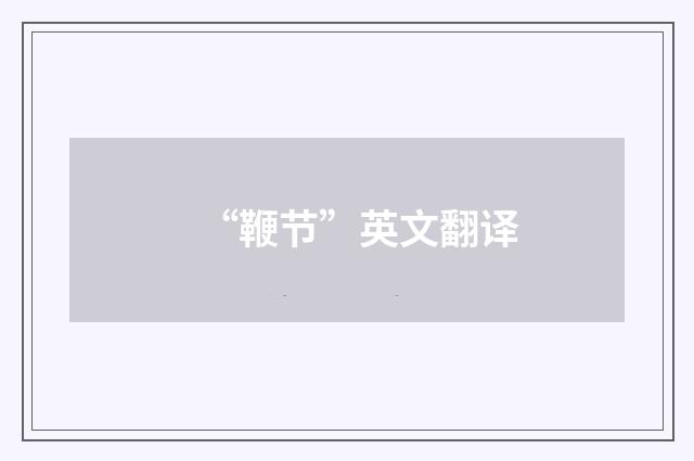 “鞭节”英文翻译