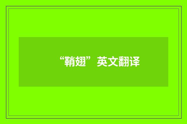 “鞘翅”英文翻译