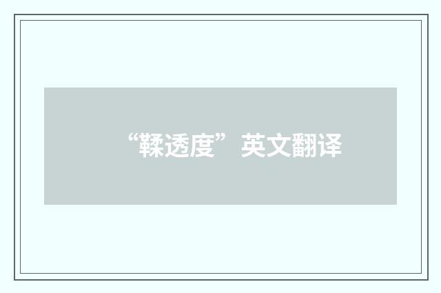 “鞣透度”英文翻译