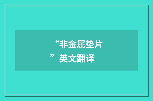 “非金属垫片”英文翻译