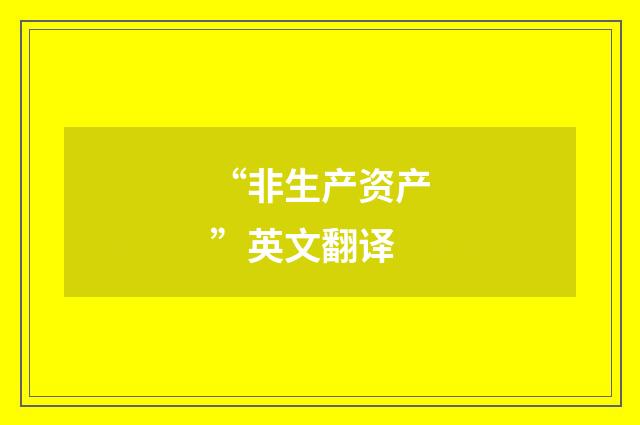 “非生产资产”英文翻译