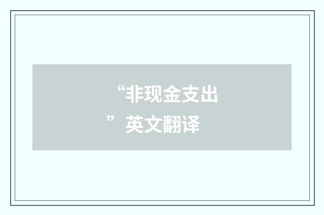 “非现金支出”英文翻译