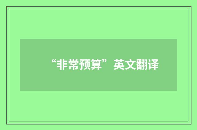“非常预算”英文翻译