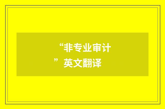 “非专业审计”英文翻译