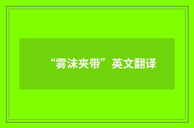 “雾沫夹带”英文翻译