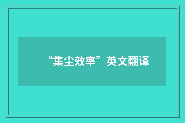 “集尘效率”英文翻译