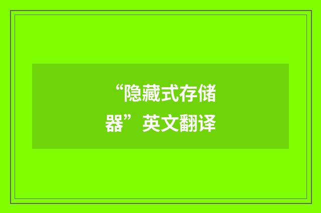 “隐藏式存储器”英文翻译