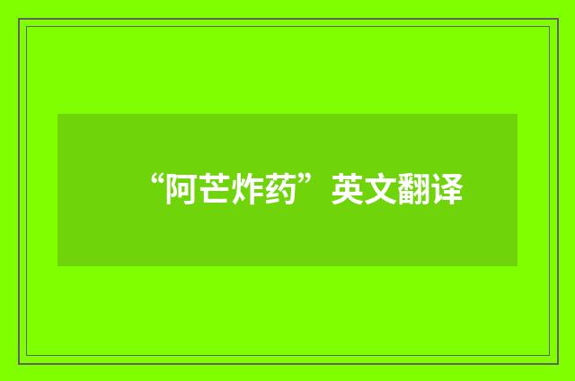 “阿芒炸药”英文翻译