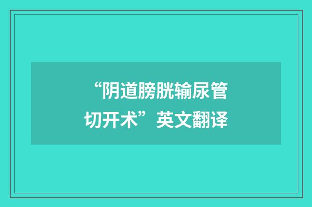“阴道膀胱输尿管切开术”英文翻译