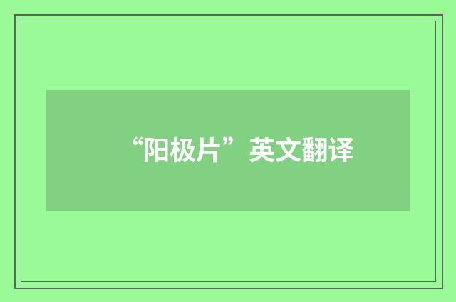 “阳极片”英文翻译