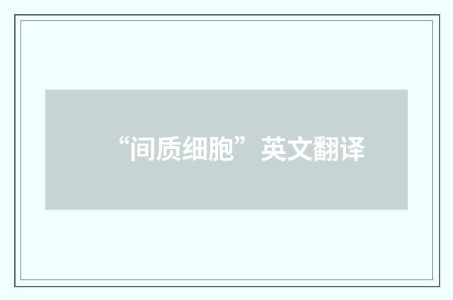 “间质细胞”英文翻译