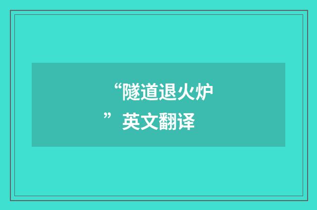 “隧道退火炉”英文翻译