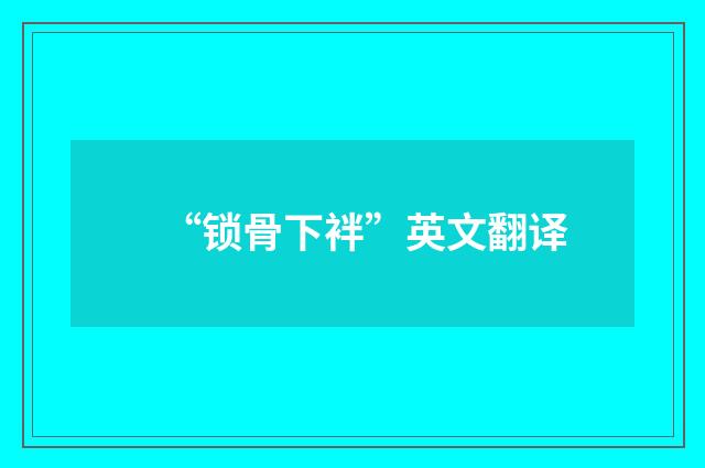 “锁骨下袢”英文翻译
