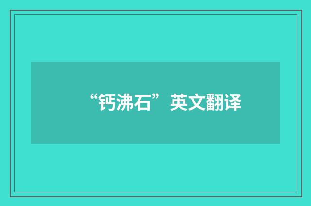 “钙沸石”英文翻译
