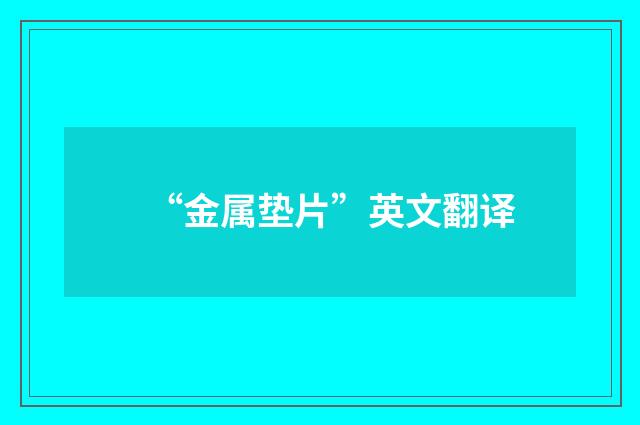 “金属垫片”英文翻译