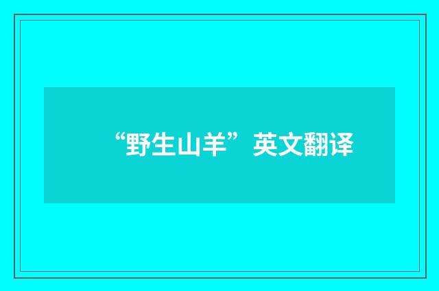 “野生山羊”英文翻译