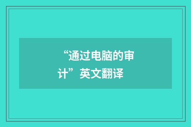 “通过电脑的审计”英文翻译