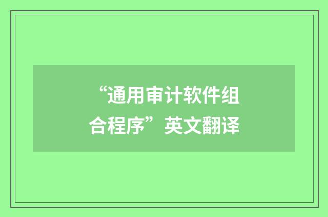 “通用审计软件组合程序”英文翻译