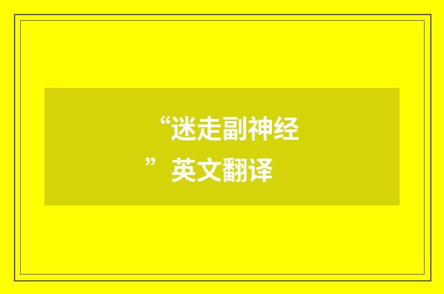“迷走副神经”英文翻译