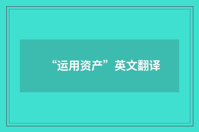 “运用资产”英文翻译