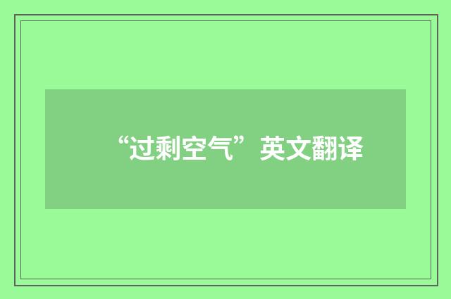 “过剩空气”英文翻译
