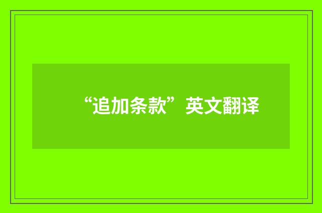 “追加条款”英文翻译